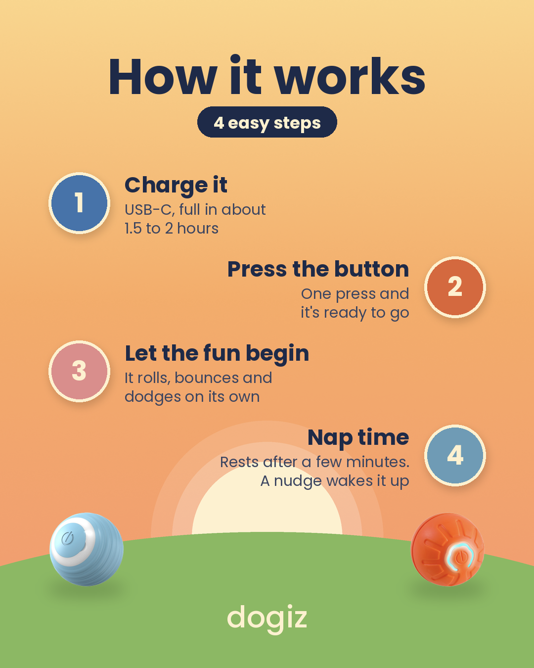 How the dogiz automatic interactive dog ball works